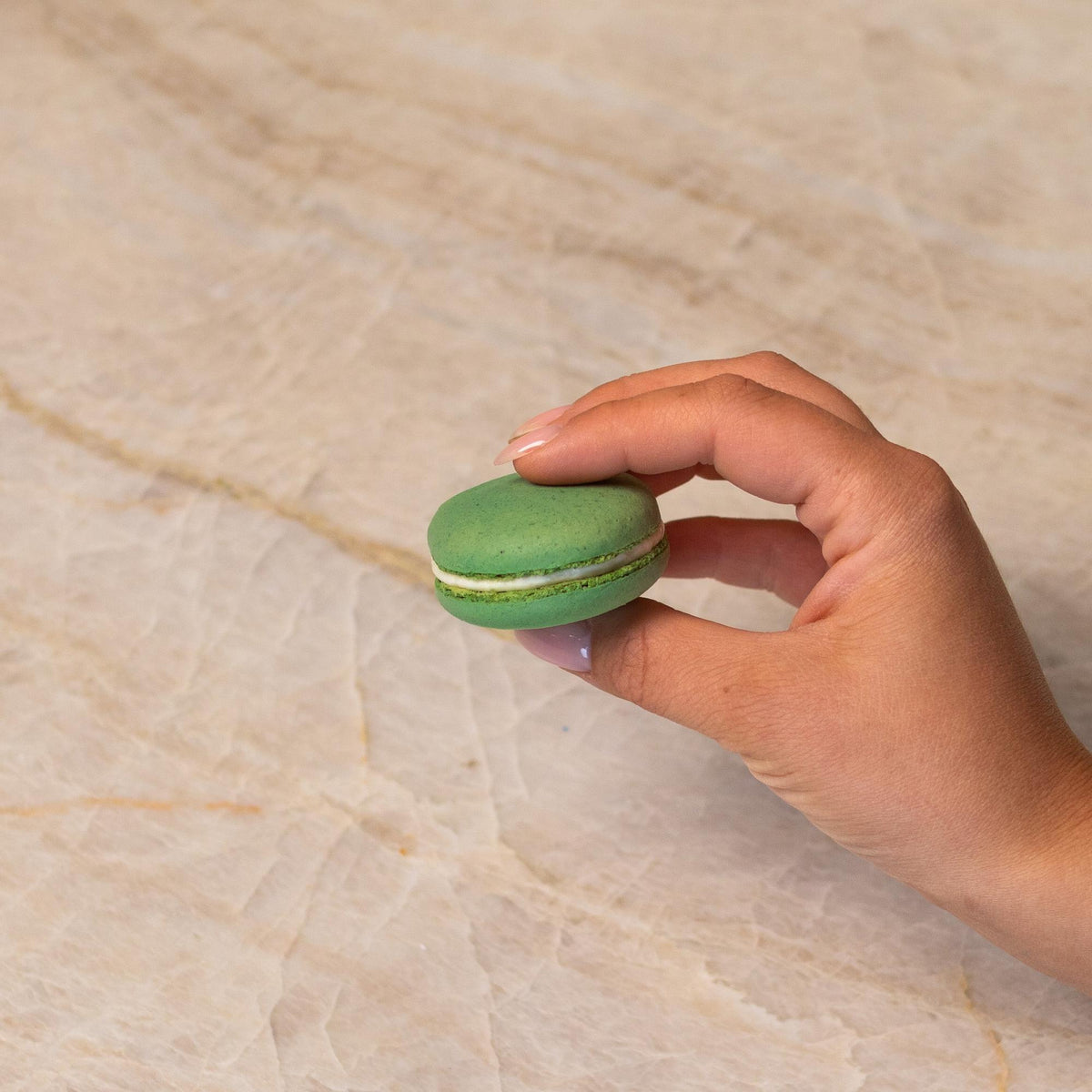 Green French macaron made with natural food coloring powder.
