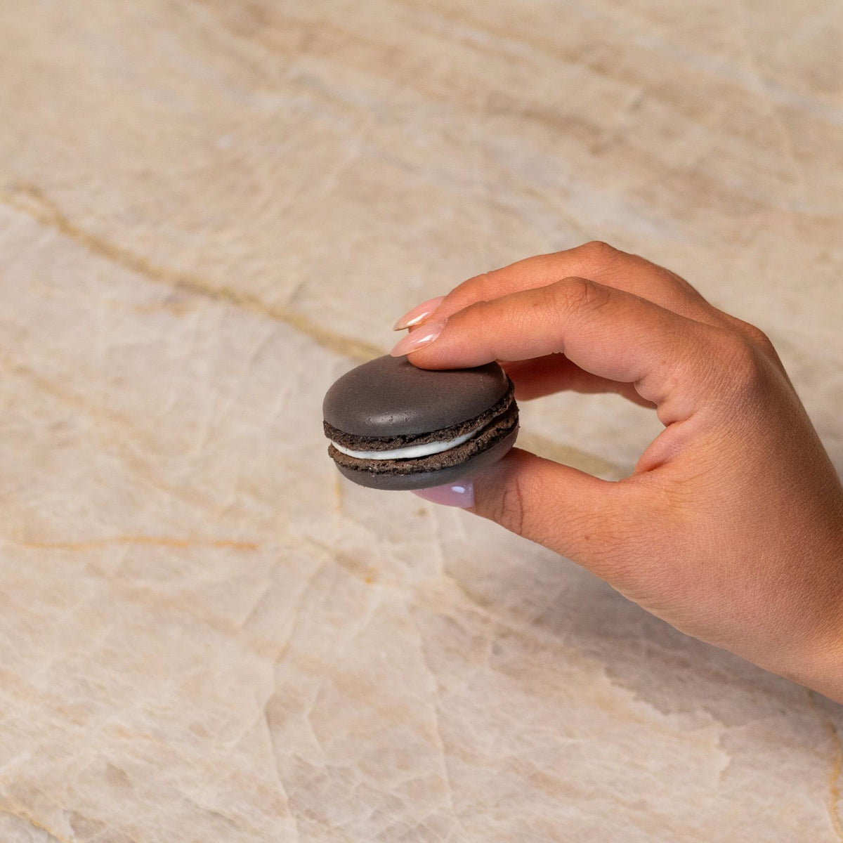 Gray French macaron made with natural food coloring powder.