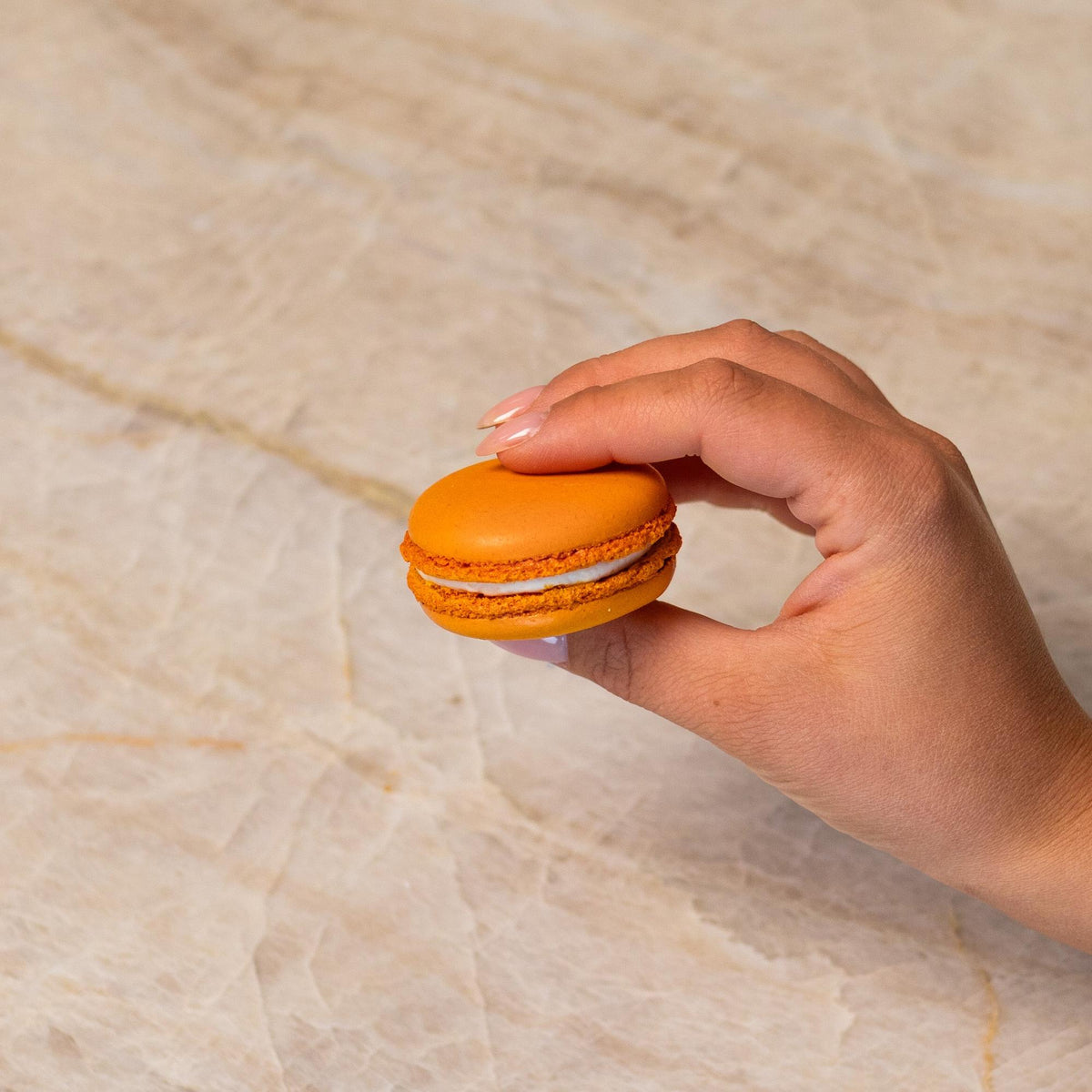 Orange French macaron made with natural food coloring powder.