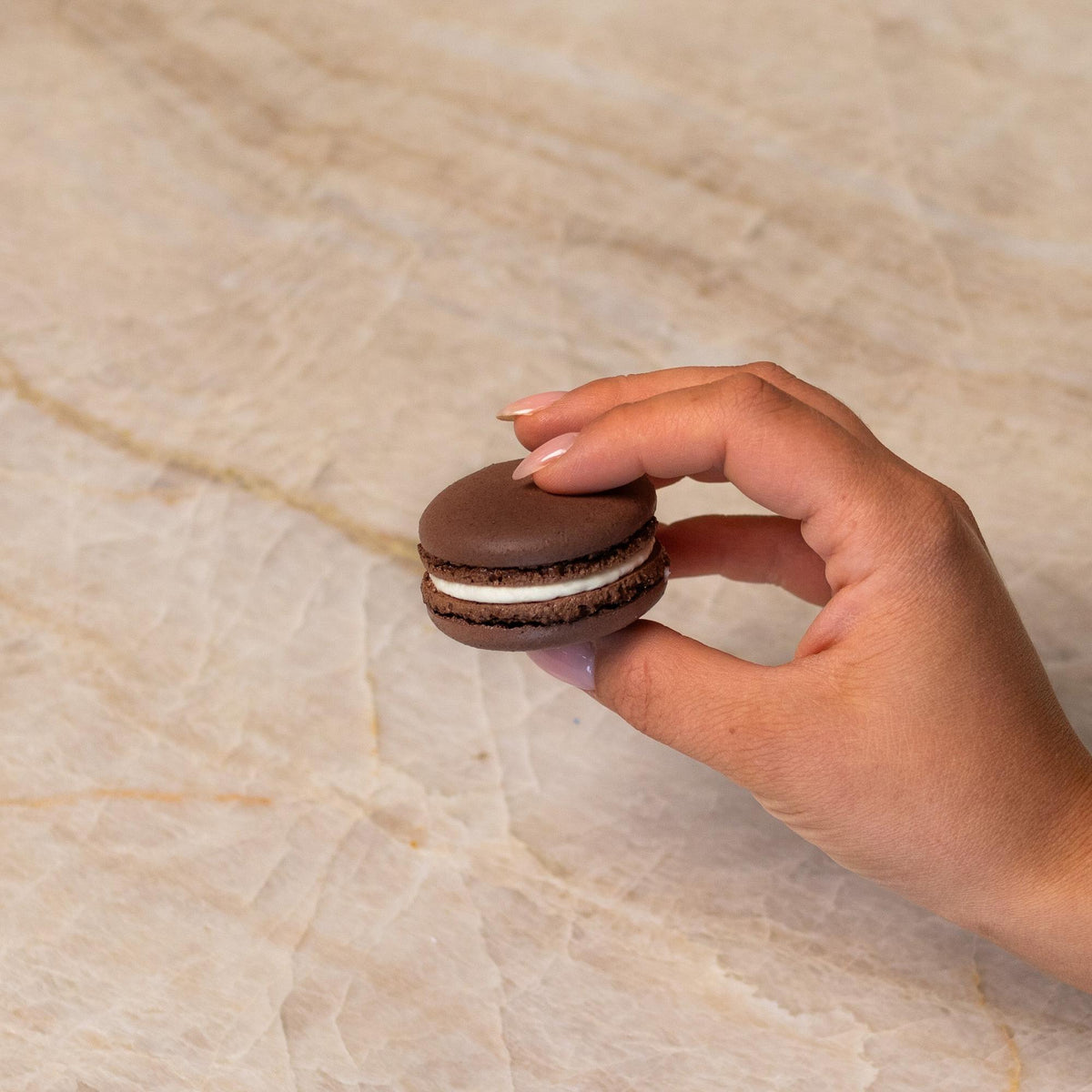 Brown French macaron made with natural food coloring powder.