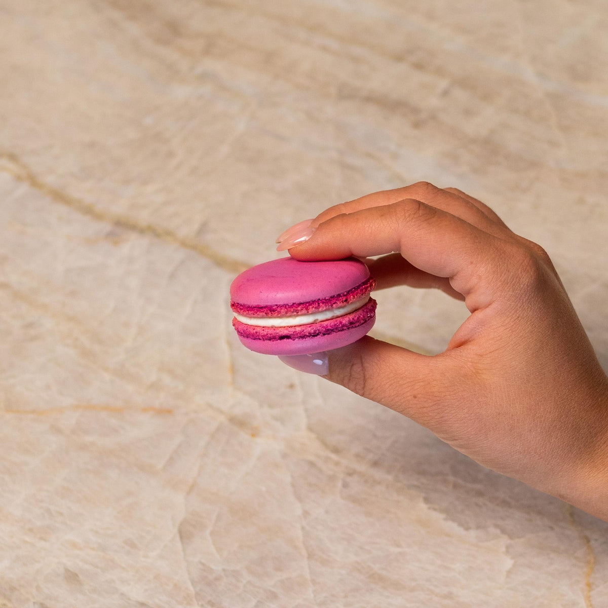 Pink French macaron made with natural food coloring powder.