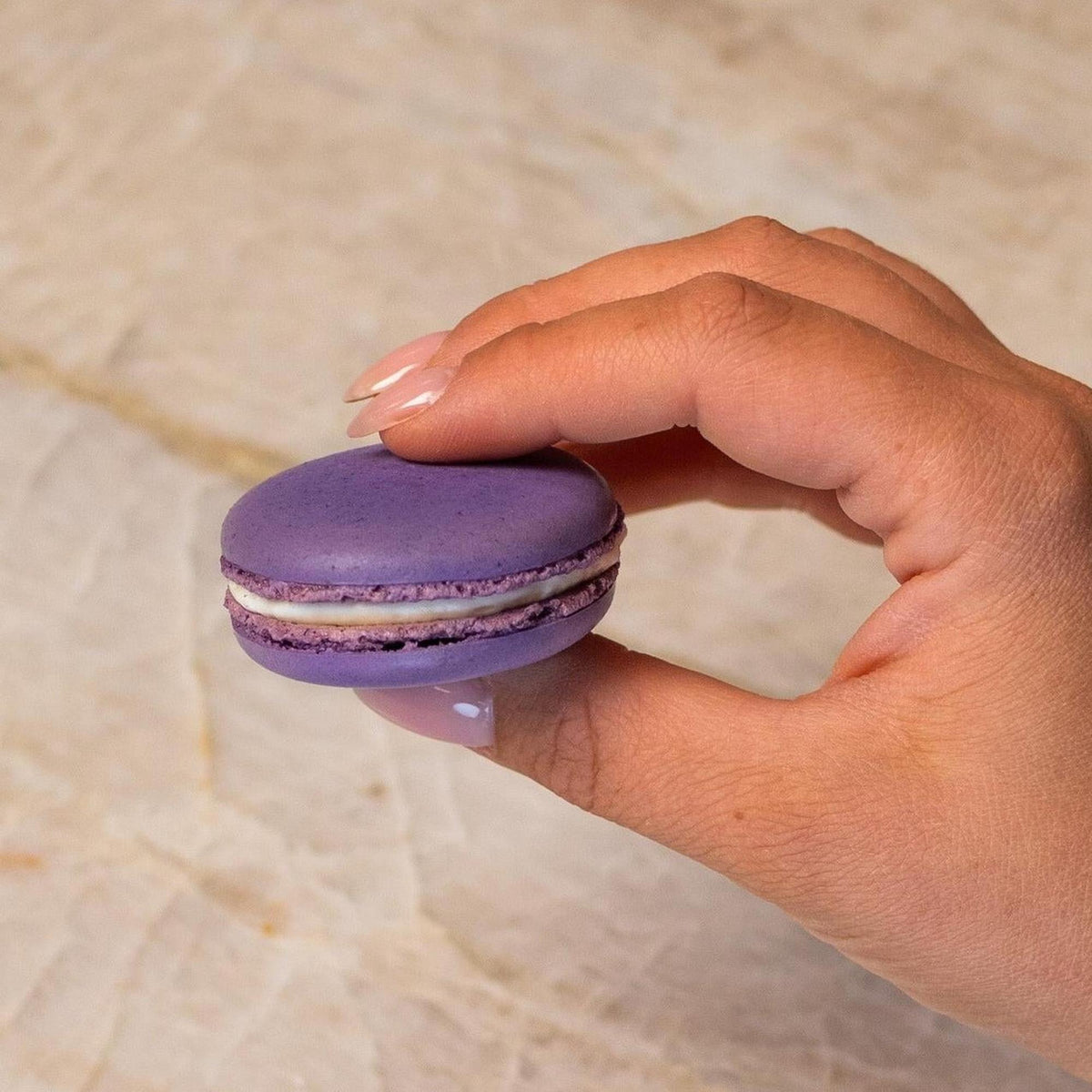 Purple French macaron made with natural food coloring powder.