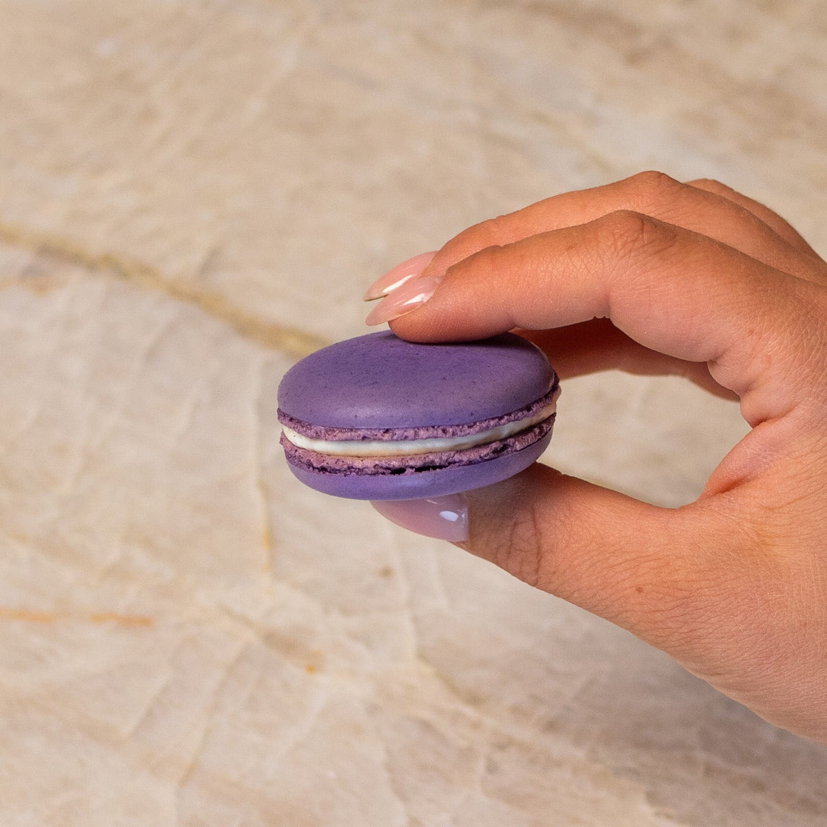 Hand holding purple macaron made with ADAMA natural food coloring.