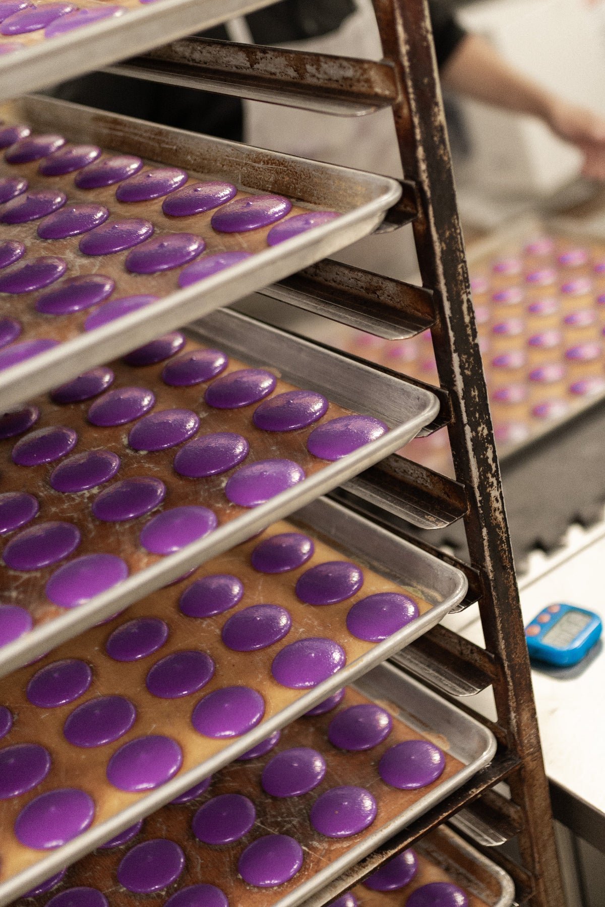 Purple macaron shells made with ADAMA natural food coloring arranged on trays during baking tests.