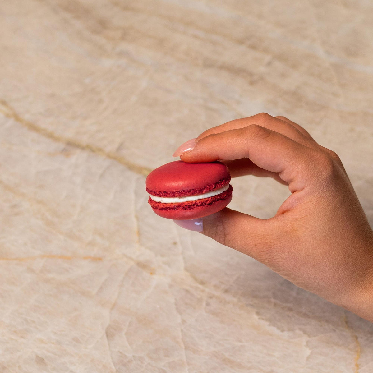 Red French macaron made with natural food coloring powder.