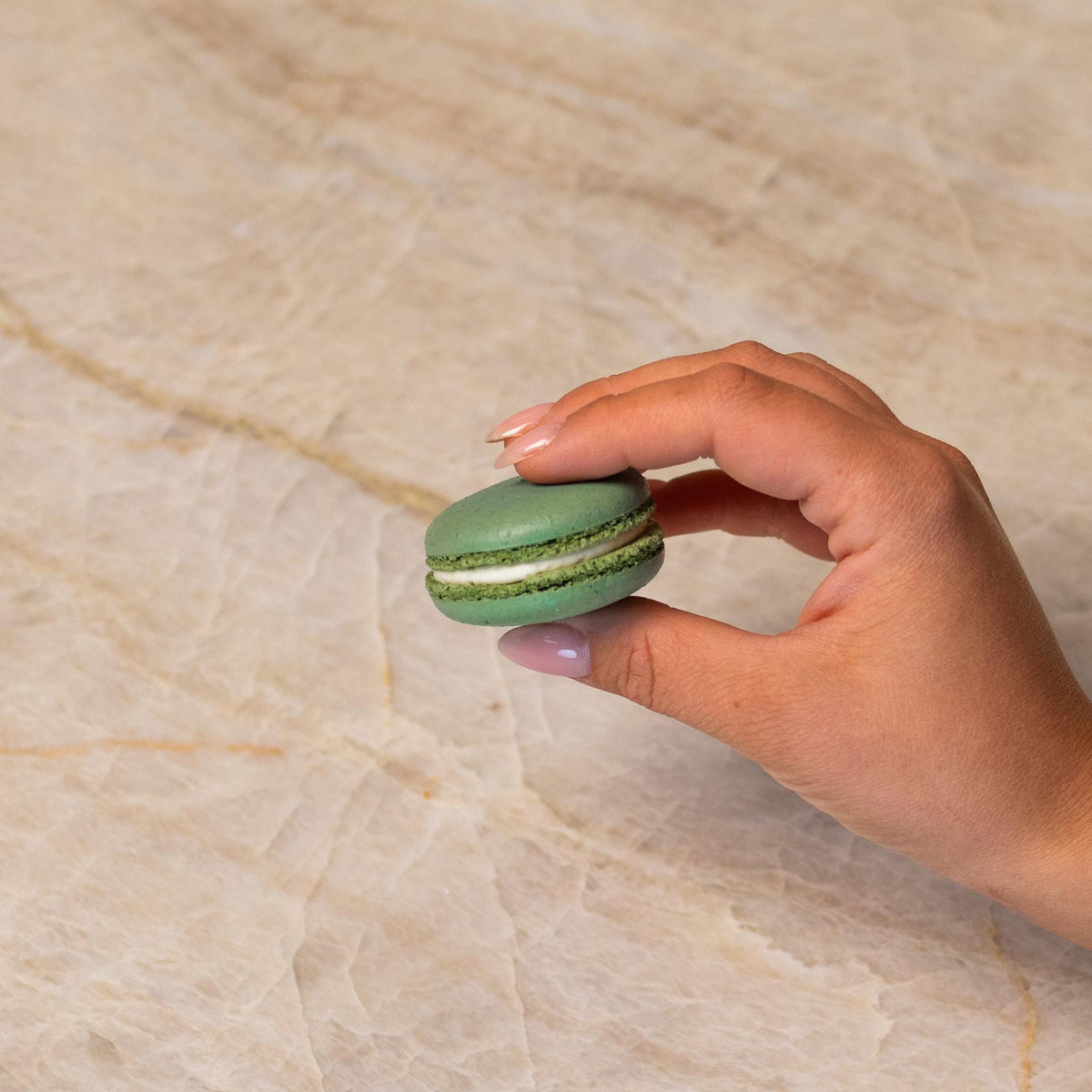 Teal French macaron made with natural food coloring powder.