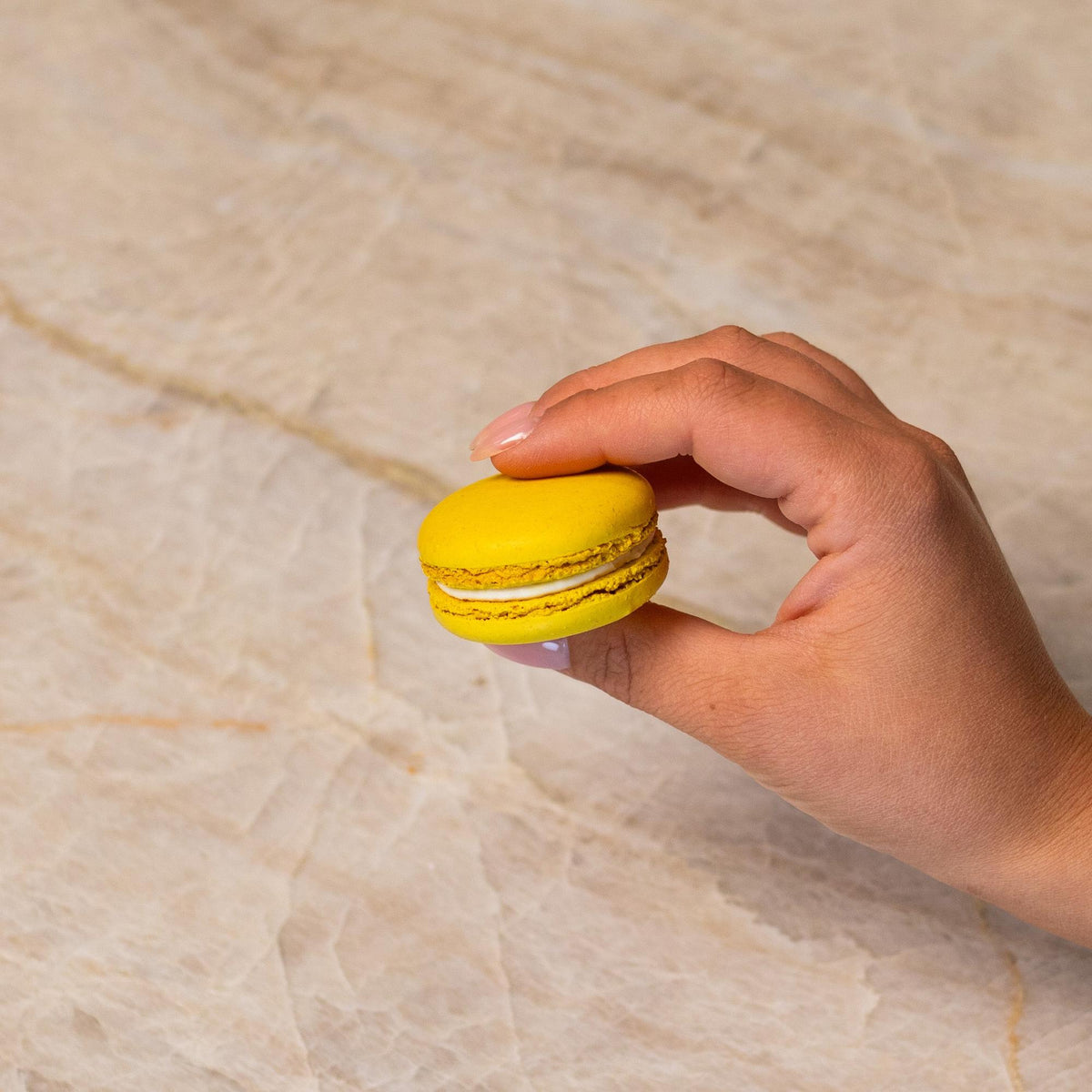 Yellow French macaron made with natural food coloring powder.